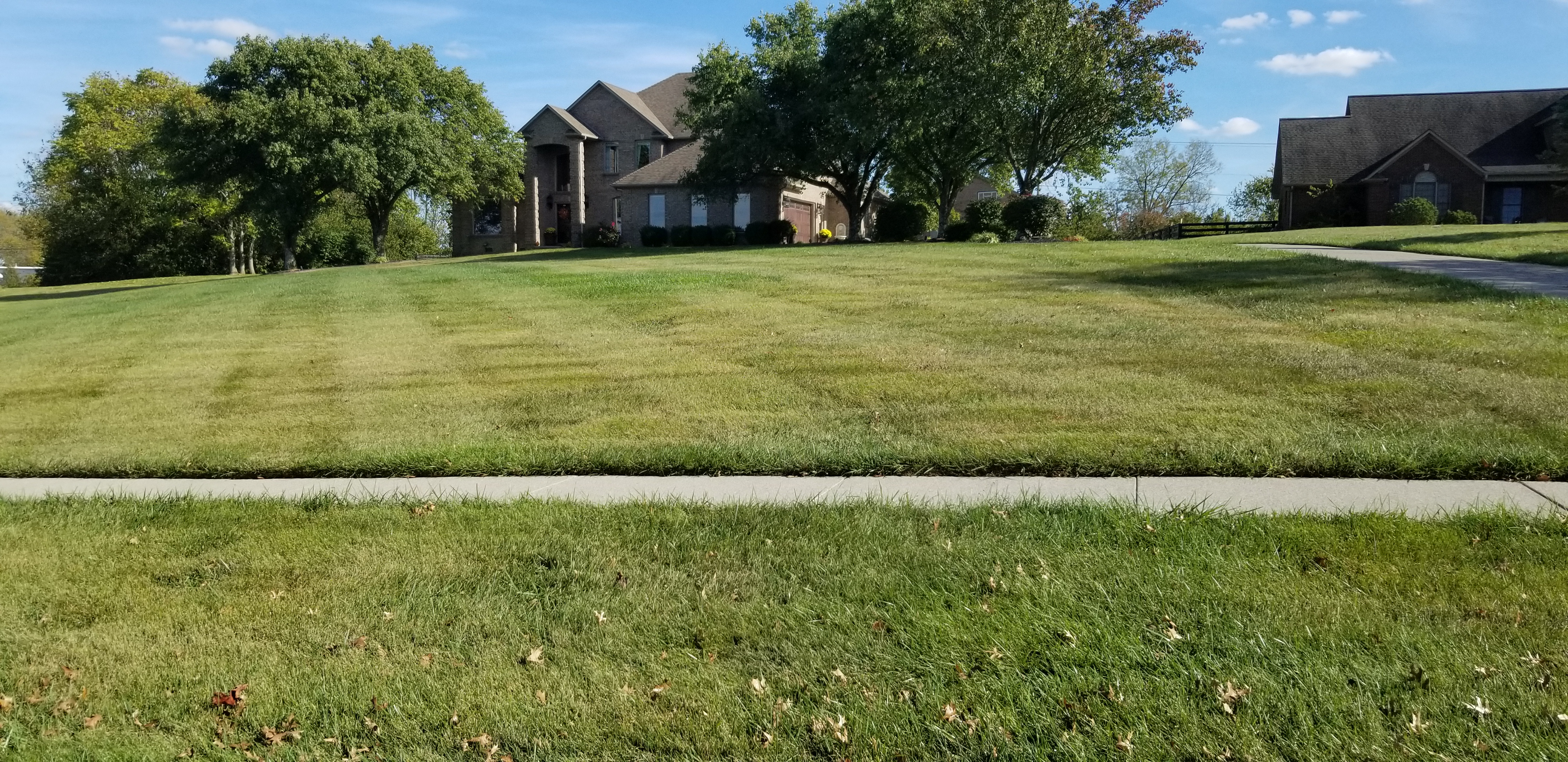 LOOK AT MY LAWN!